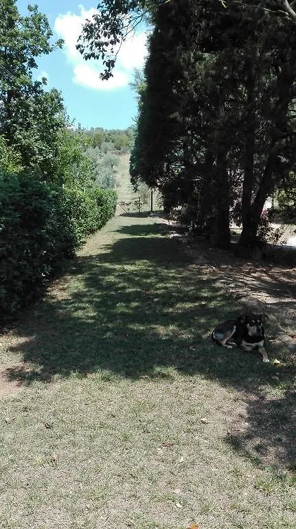 Agriturismo San Lino-Gilberto Massa Marittima 0*,  Italien